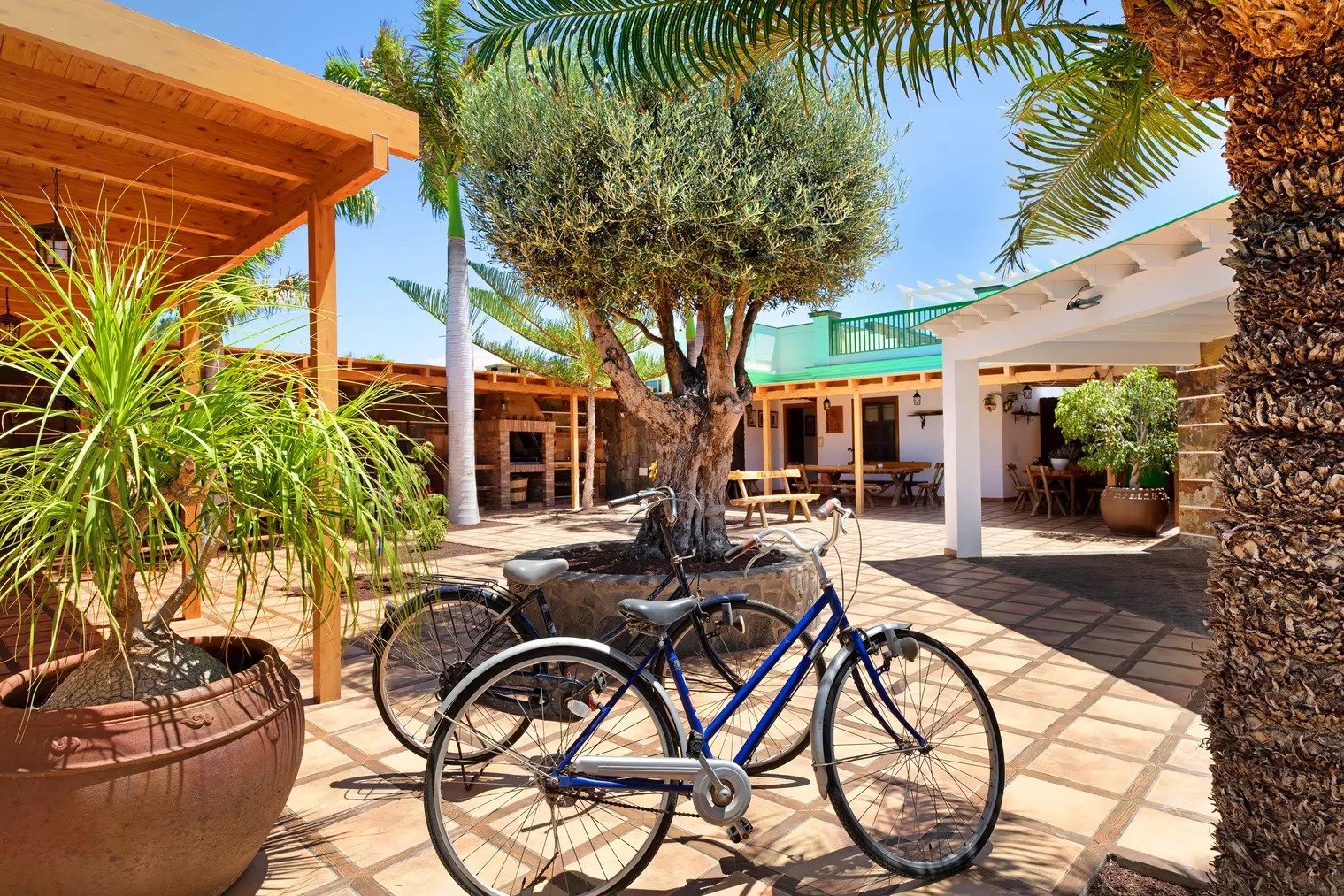 Innenhof mit Olivenbaum — Namensgeber der Villa